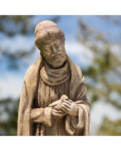 St. Francis W Baby Bird