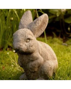Rabbit w Ears Up