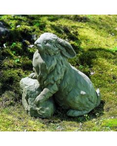 Rabbit on a Rock