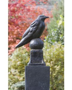 Raven