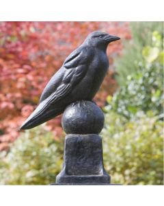 Raven