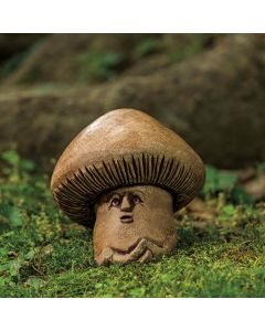 Shroom 