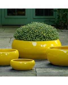 Sasha Planter - Limon