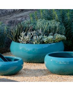 Sasha Planter - Agave