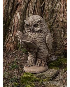Scholarly Owl