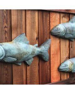 School of Fish
