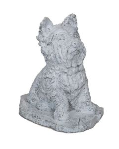 Scottie/Shitzu Dog
