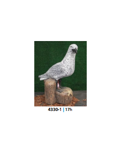Seagull