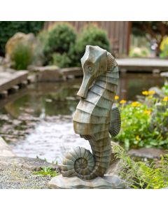 Large Seahorse