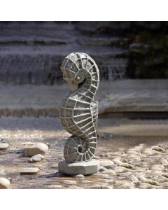 Seahorse