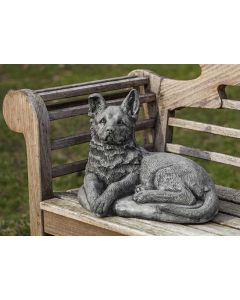 Shepherd Pup