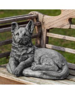 Shepherd Pup