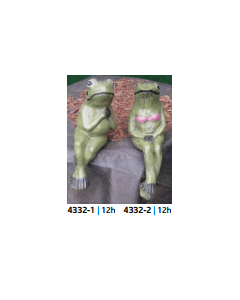 Sitting Frog
