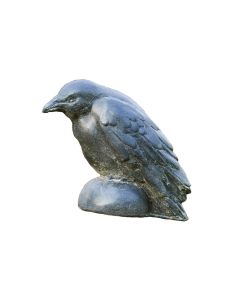 Small Raven
