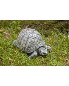 Small Turtle