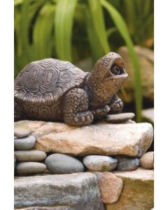Small Turtle-Plumbed
