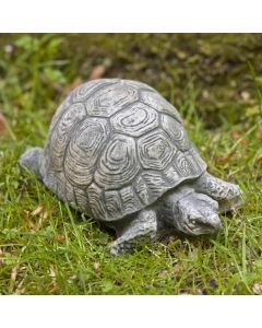 Small Turtle