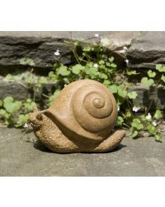 Snail