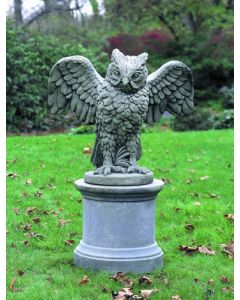 Soaring Owl