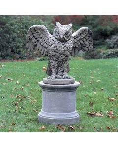 Soaring Owl