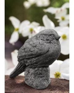 Summer Sparrow