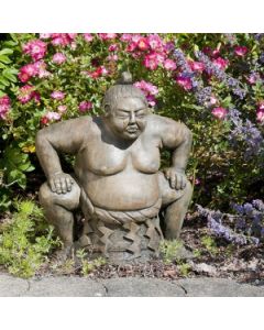 Sumo Wrestler