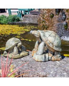 Theodore the Turtle