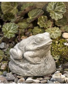 Tiny Frog