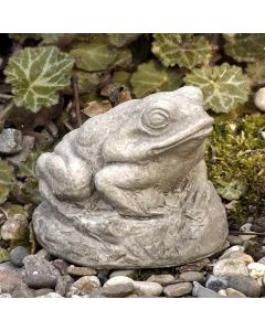 Tiny Frog
