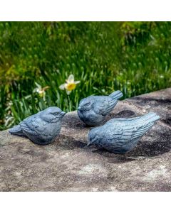Trio d'Oiseaux
