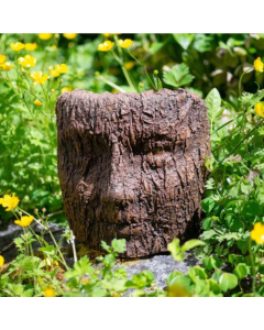 Table Top Face in Bark