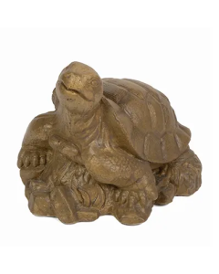 Large Turtle