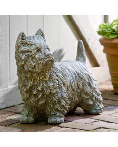 Westie