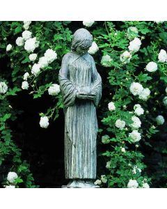Wood Nymph