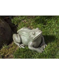 Woodland Frog