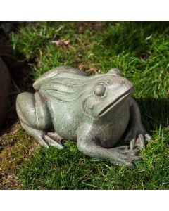 Woodland Frog