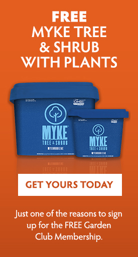 Myke tree & shrub