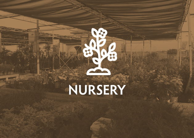Nursery