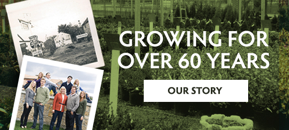 Our story