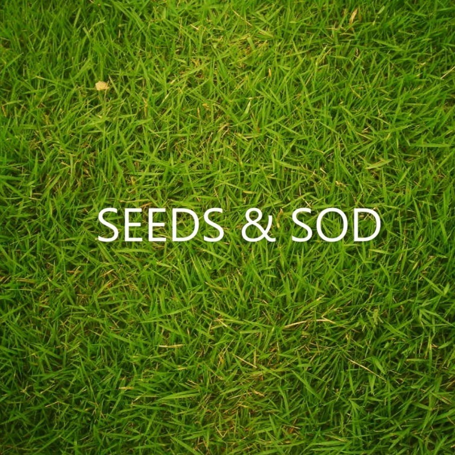 Seeds & Sod
