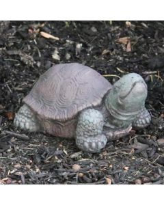 5" Extra Small Tortoise