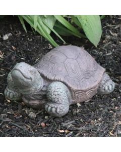 7" Small Tortoise