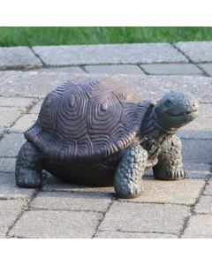 8" Medium Tortoise