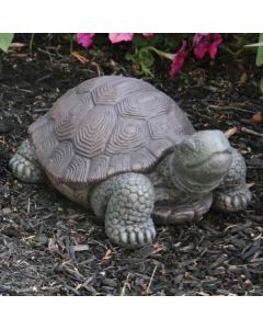 8" Small Tortoise
