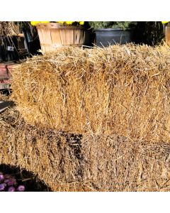 Bale of Hay / Straw