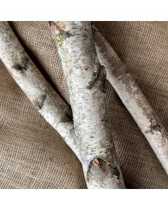 Birch Pole - 8'