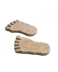Concrete Feet White