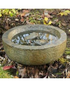 Frog Bowl