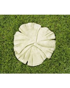 Gingko Stepping Stone