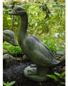 Goose